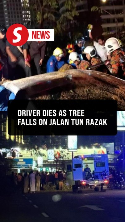 One dead, family of 7 safe after tree crash horror along Jalan Tun Razak