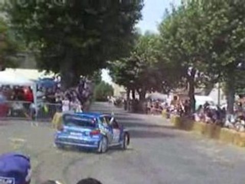 Da Cunha 206 WRC Rallye Rouergue Moyrazès 2008