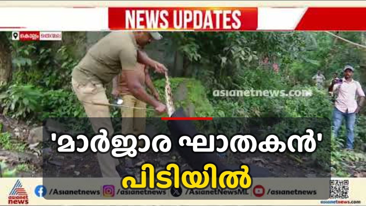 വളര്‍ത്തുപൂച്ചകളെ കൊന്നൊടുക്കിയ ഭീമന്‍ പെരുമ്പാമ്പ് ഒടുവില്‍ പിടിയില്‍