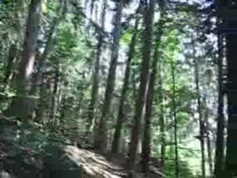 Florentine Accro-branches Talloires