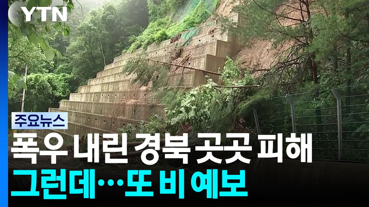 폭우 내린 경북 곳곳 피해...또 비 예보돼 주의 필요 / YTN