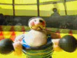 le cirque plein d'air