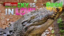 Blind date ng 2 dekadang single na buwaya, magki-click kaya? | Born To Be Wild