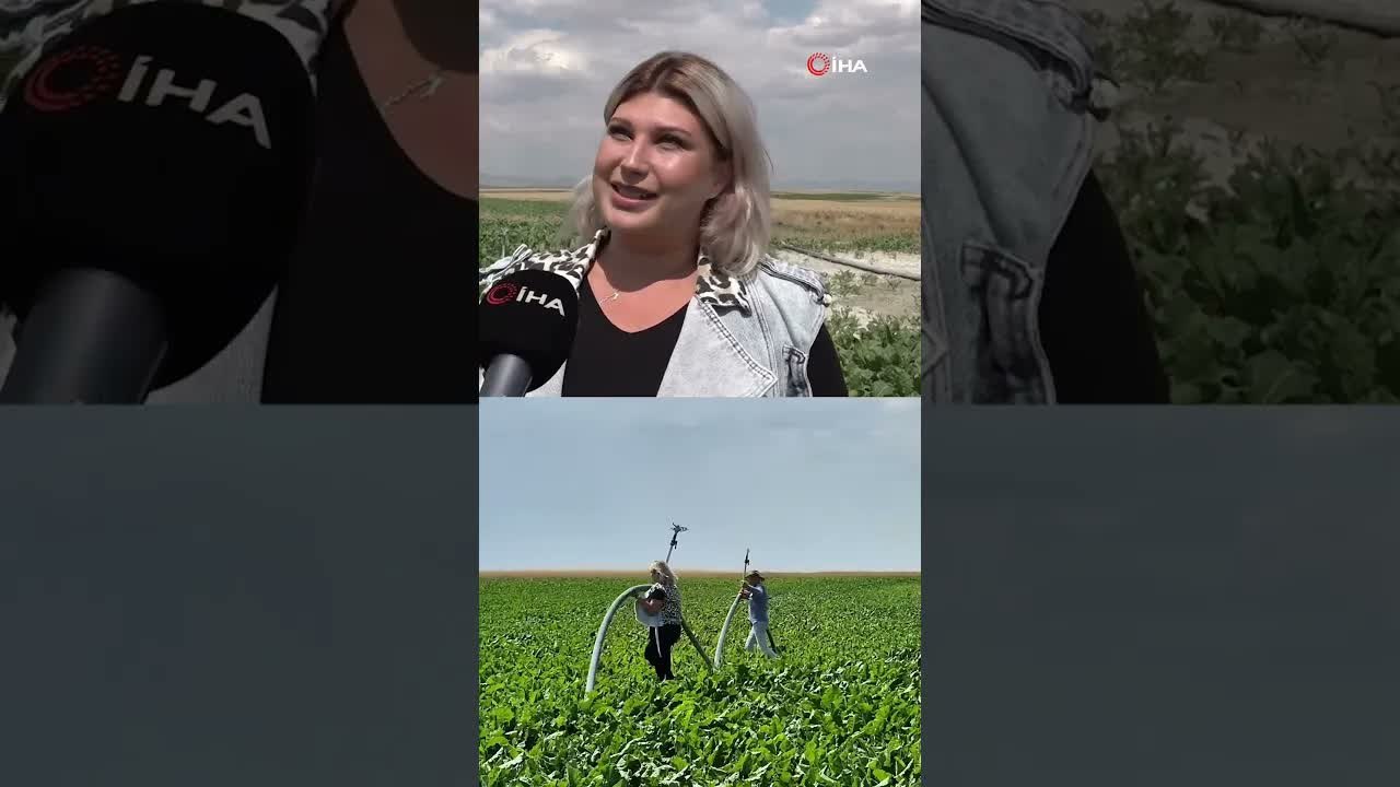 "Kız çocuğu yapamaz" diyenlere inat tarlada babasının sağ kolu oldu