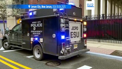 Gänseschwarm als Ursache: Absturz der Siemens-CEO-Familie in New York aufgeklärt