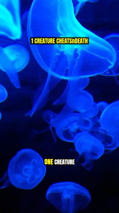 1 Creature Cheats Death! 🤯