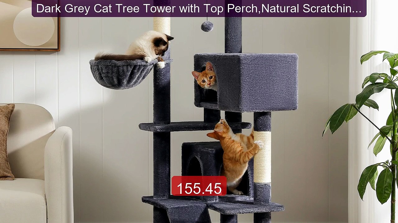 Dark Grey Cat Tree Tower with Top Perch,Natural Scratching Po... -- Amazing Value 2026 | Must Have!