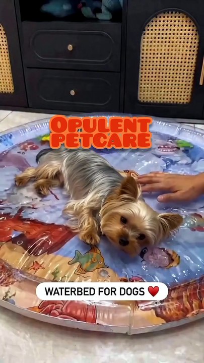 Pet Cooling Water Bed - Splash Pad Mat for Dogs & Cats | Keep Pets Cool in Summer