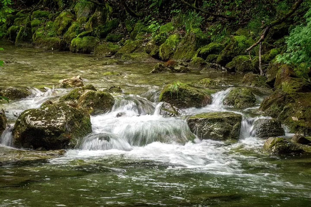 1 Hour of Relaxing River Sounds - Flowing Water and Forest Creek Ambience 🏞️