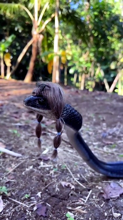 Nowadays, snakes don't need to be tamed with a flute.  Just use the trending FYP song 😂