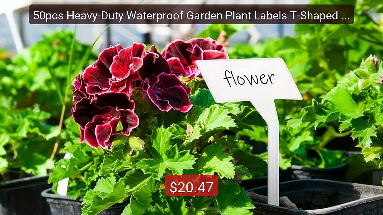 50pcs Heavy-Duty Waterproof Garden Plant Labels T-Shaped with Writ... -- Best Deal 2026 | Shop Now!
