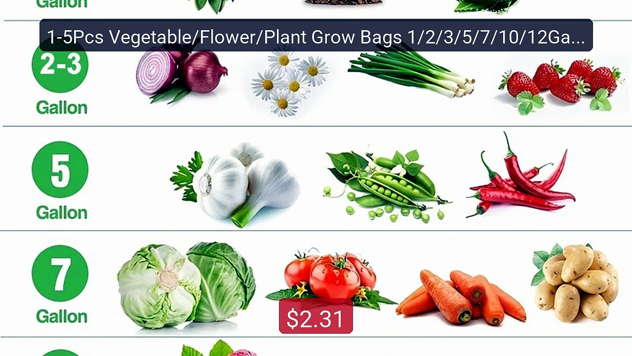 1-5Pcs Vegetable/Flower/Plant Grow Bags 1/2/3/5/7/10/12Gallons Thi... -- Best Deal 2026 | Shop Now!