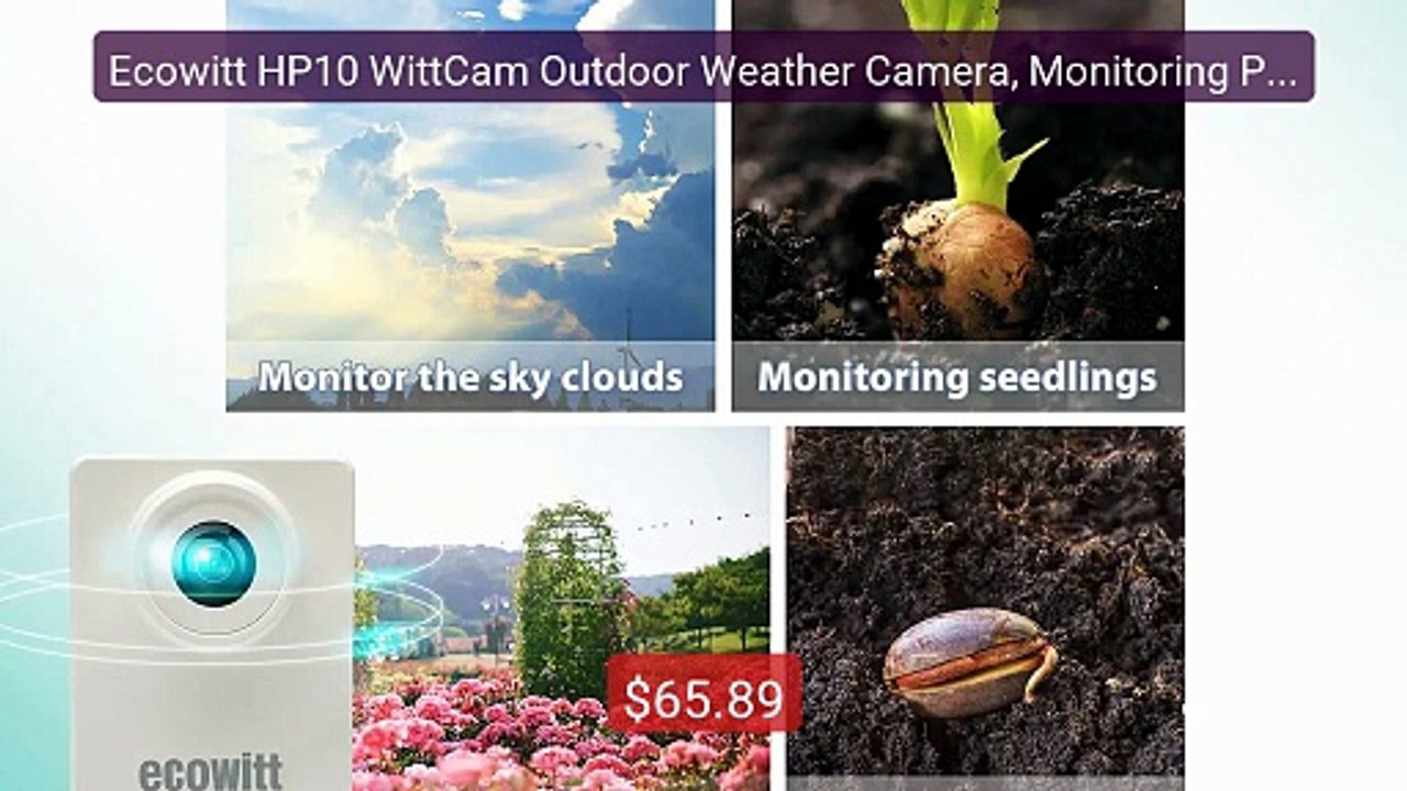Ecowitt HP10 WittCam Outdoor Weather Camera, Monitoring Plant... -- Amazing Value 2026 | Must Have!