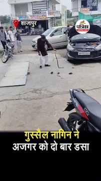 नागिन से खेलना पड़ा भारी