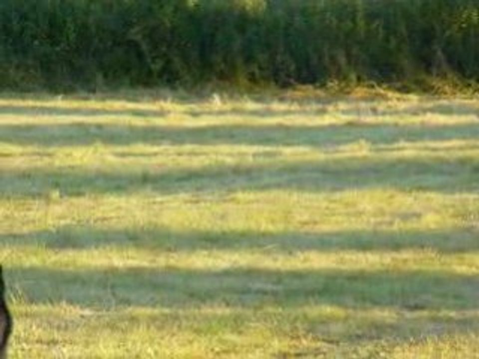 jeux avec mon nonosse