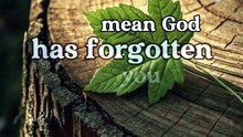 🙏✨ Be Patient—God Hasn’t Forgotten You | Trust His Perfect Timing ❤️