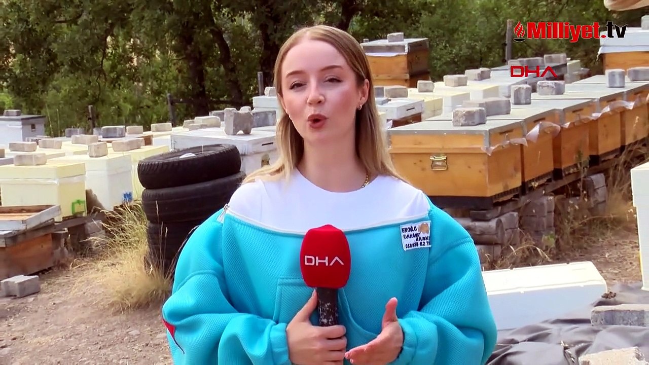 2 kovanla başladı! Yılda 1 ton bal üretiyor