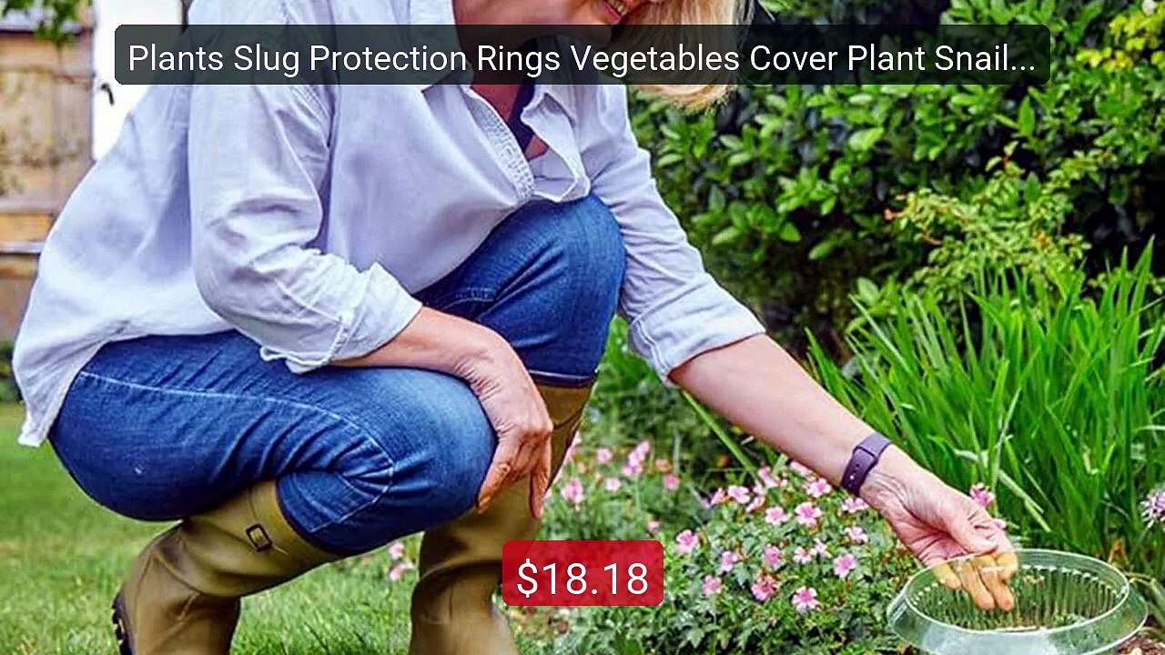 Plants Slug Protection Rings Vegetables Cover Plant Snail Coll... -- Best Buy 2026 | Great Quality!