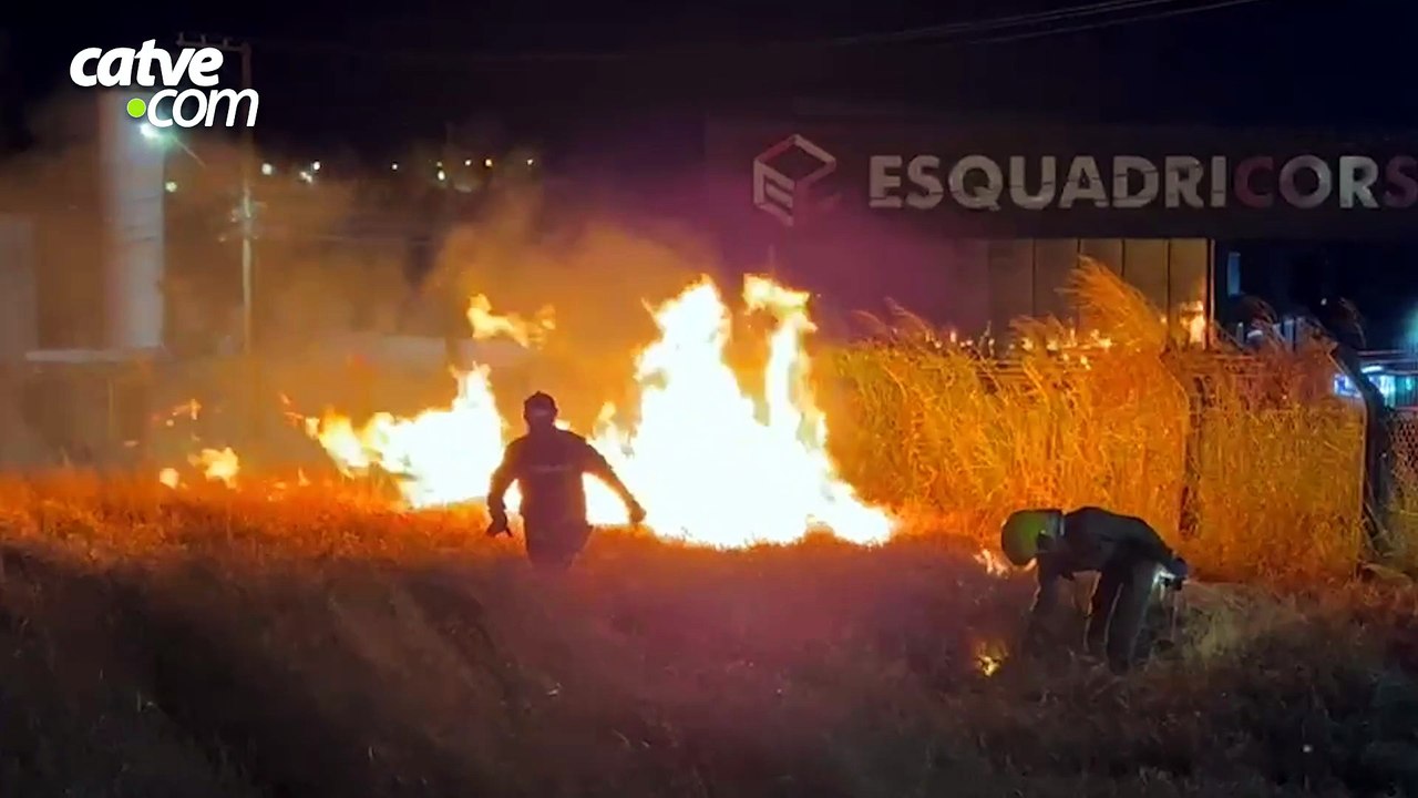 Incêndio atinge área de vegetação às margens da BR-277