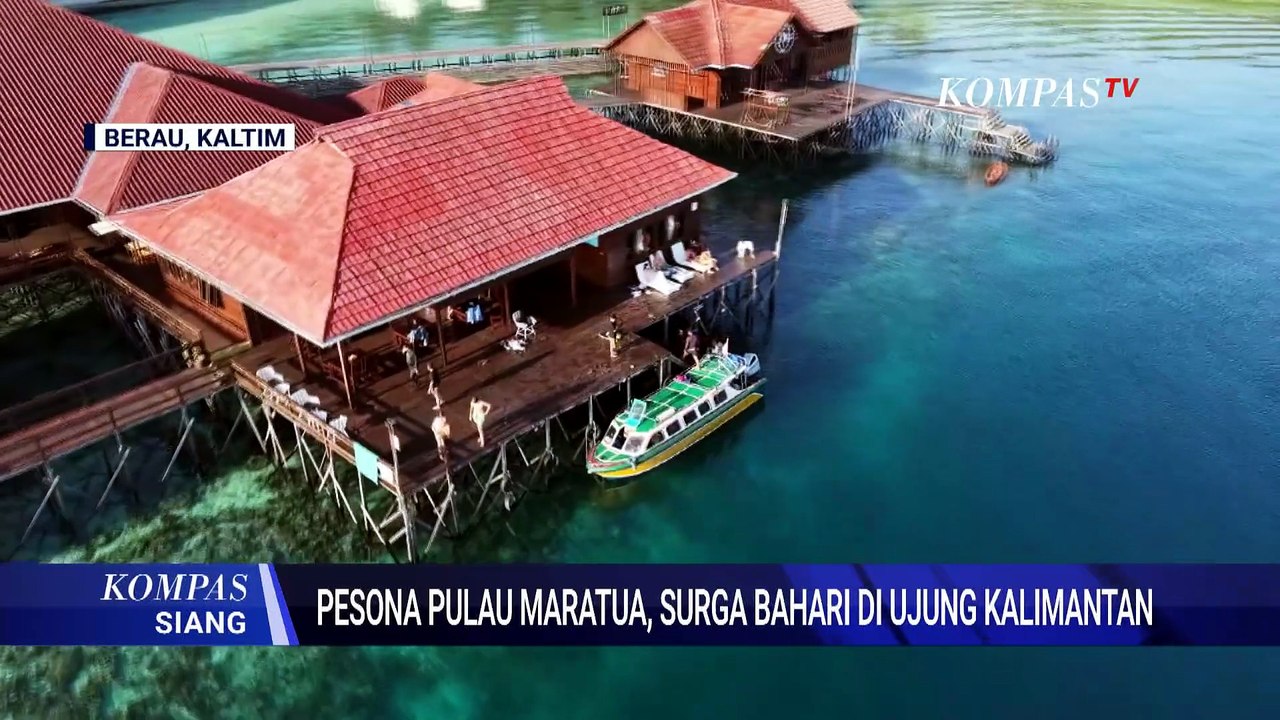 Jelajahi Pesona Pulau Maratua: Surga Bahari di Ujung Kaltim hingga Bertemu Lumba-Lumba di Laut Lepas