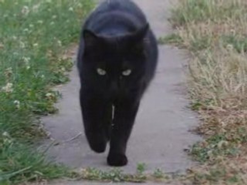 Diapo de Princesse et Kyla