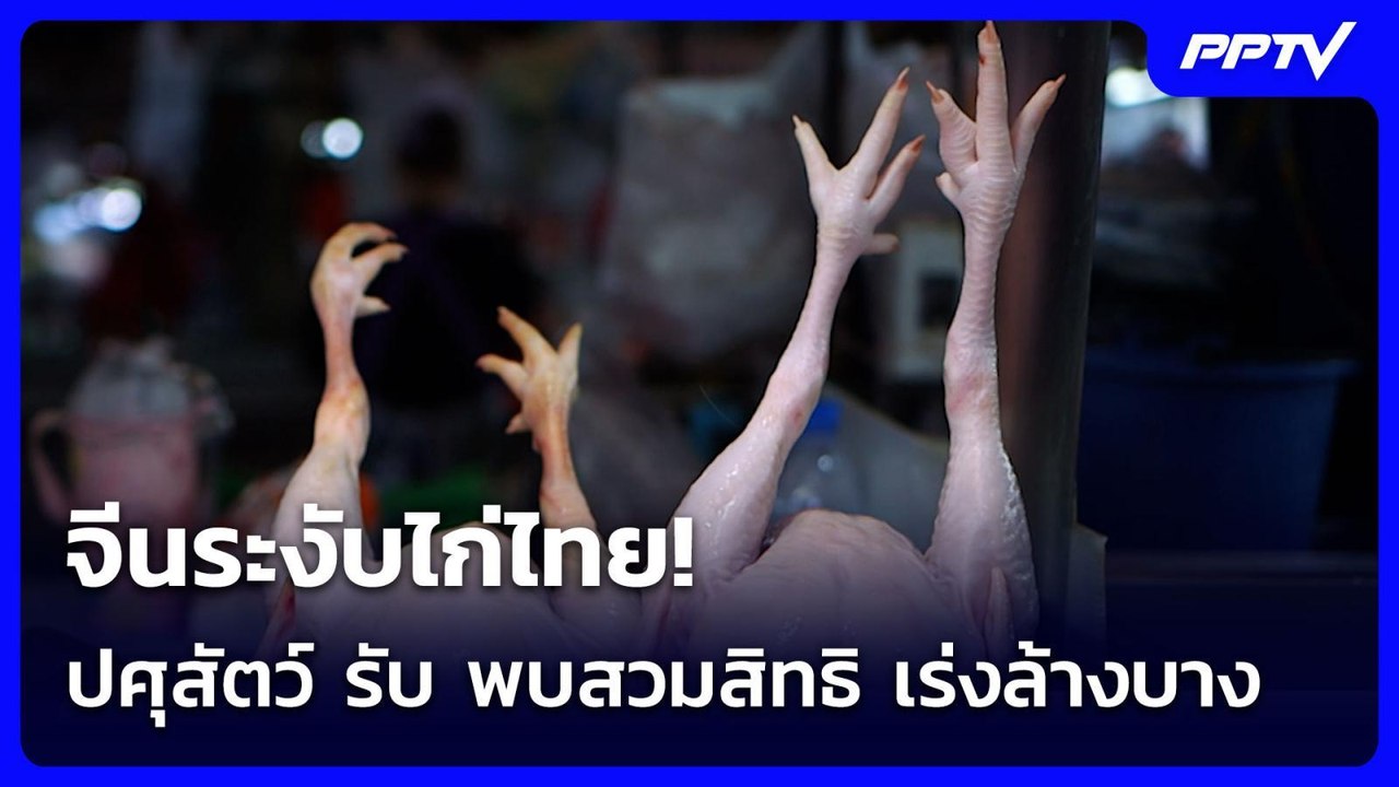 จีนระงับไก่ไทย! ปศุสัตว์ รับ พบสวมสิทธิ เร่งล้างบาง | เข้มข่าวค่ำ | 19 ก.ค. 69
