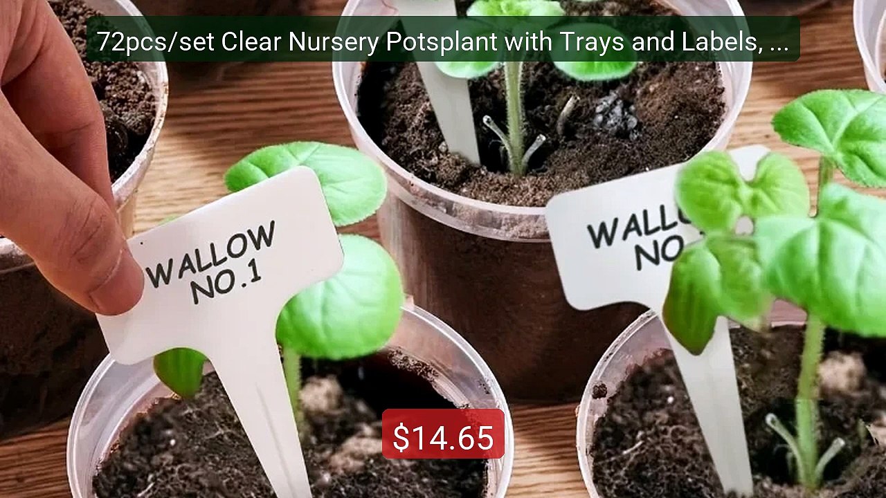 72pcs/set Clear Nursery Potsplant with Trays and Labels, Trans... -- Best Buy 2026 | Great Quality!