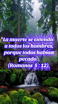 Reflexiones Bíblicas