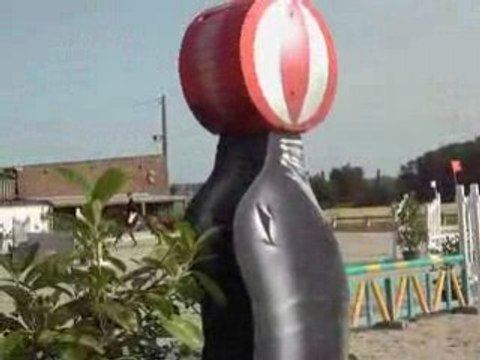 Yan et peggy chatelet 80cm