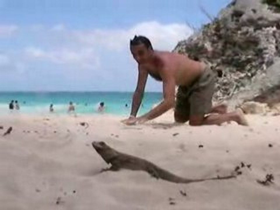 Immitation de l'Iguane par Richard