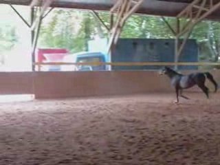 Galilée trop contente