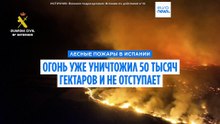 Пожары в Испании: сгорело 50 тыс. га, огонь в Гвадалахаре сдержать не удаётся