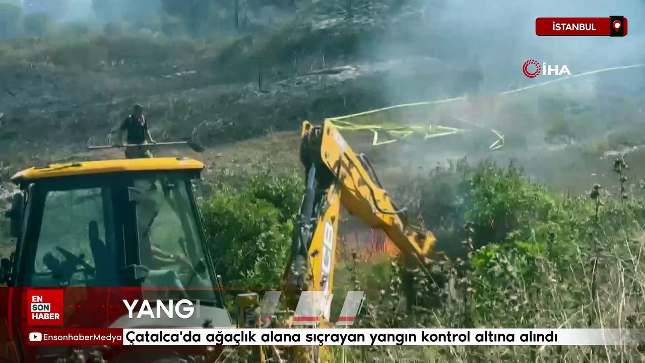 İstanbul'da ağaçlık alana sıçrayan yangın kontrol altına alındı