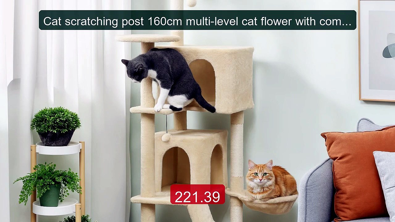 Cat scratching post 160cm multi-level cat flower with comfo... -- Top Pick 2026 | Unbeatable Price!