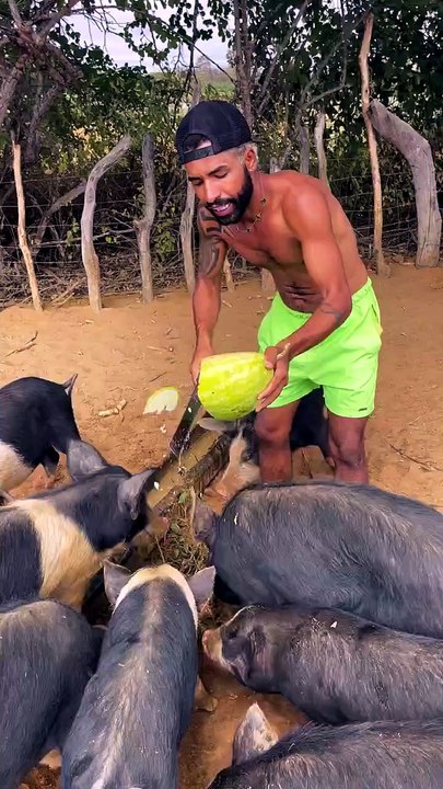 Fortunato o empréstimo queria 60%