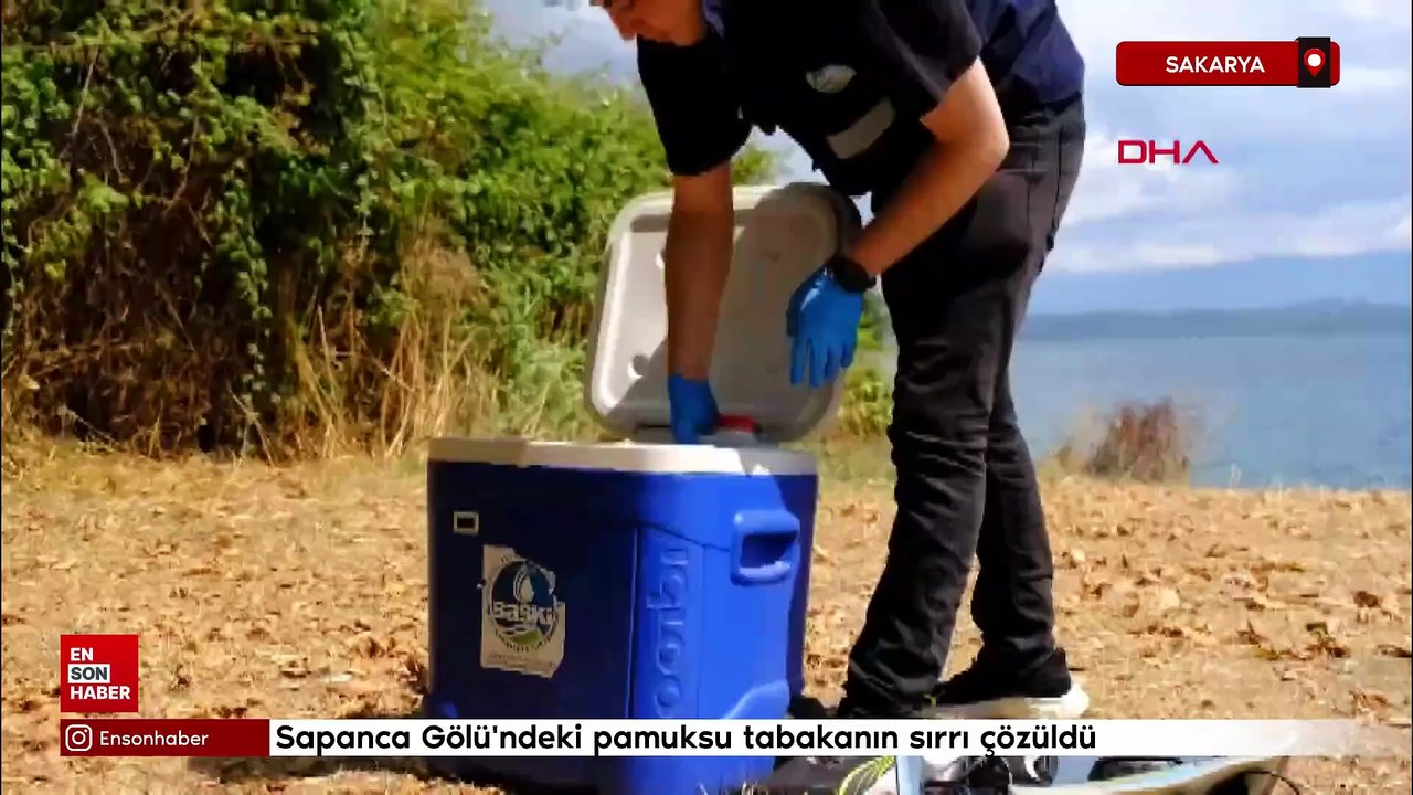 Sapanca Gölü'ndeki pamuksu tabakanın sırrı çözüldü: İçme suyunda risk yok
