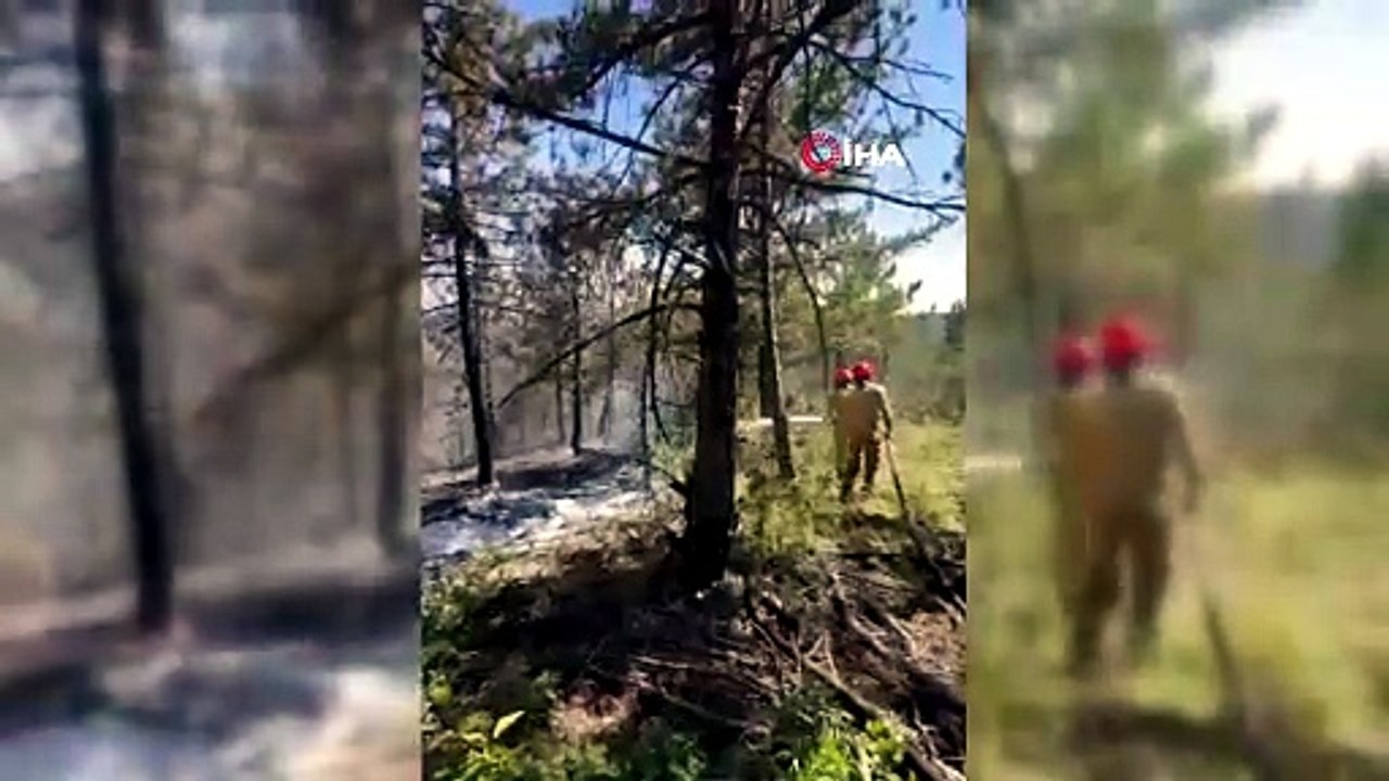 Kastamonu’da çıkan orman yangını söndürüldü