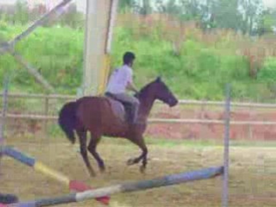 Mon premier concours