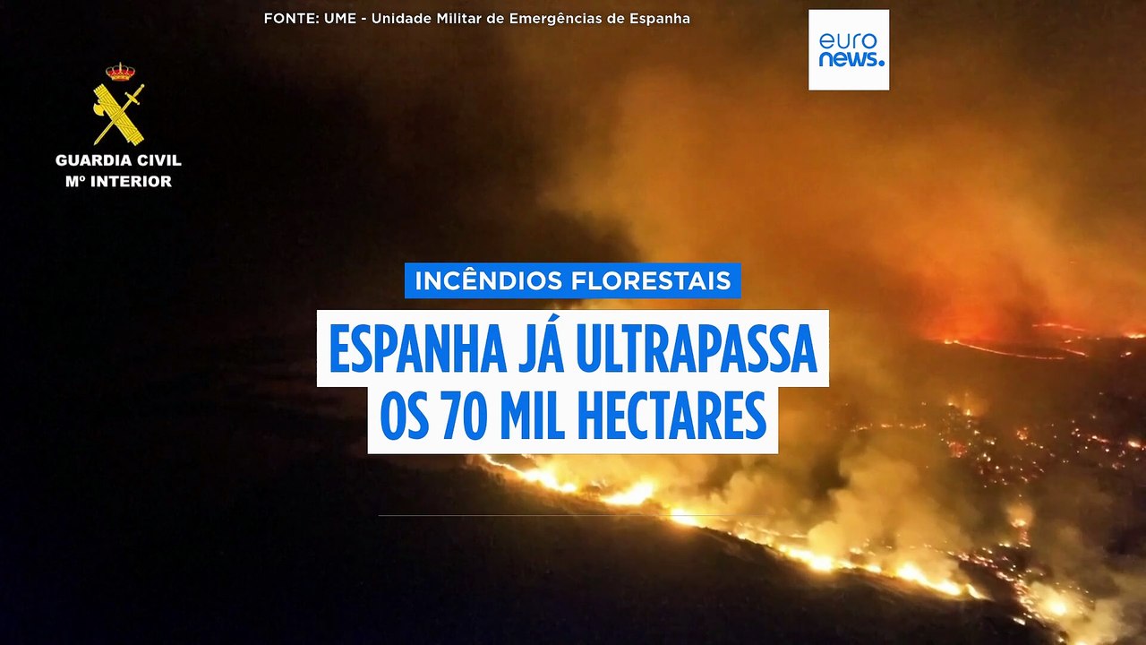 Espanha já ultrapassa os 70 mil hectares ardidos este ano: incêndio de Guadalajara fora de controlo
