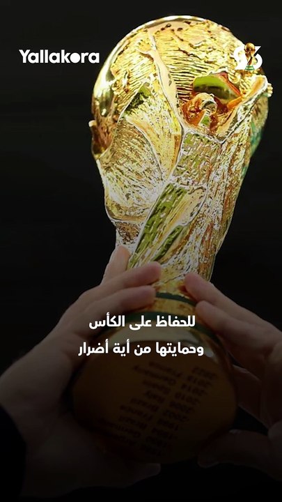 "ممنوع بدون قفازات".. من يحق لهم لمس كأس العالم؟