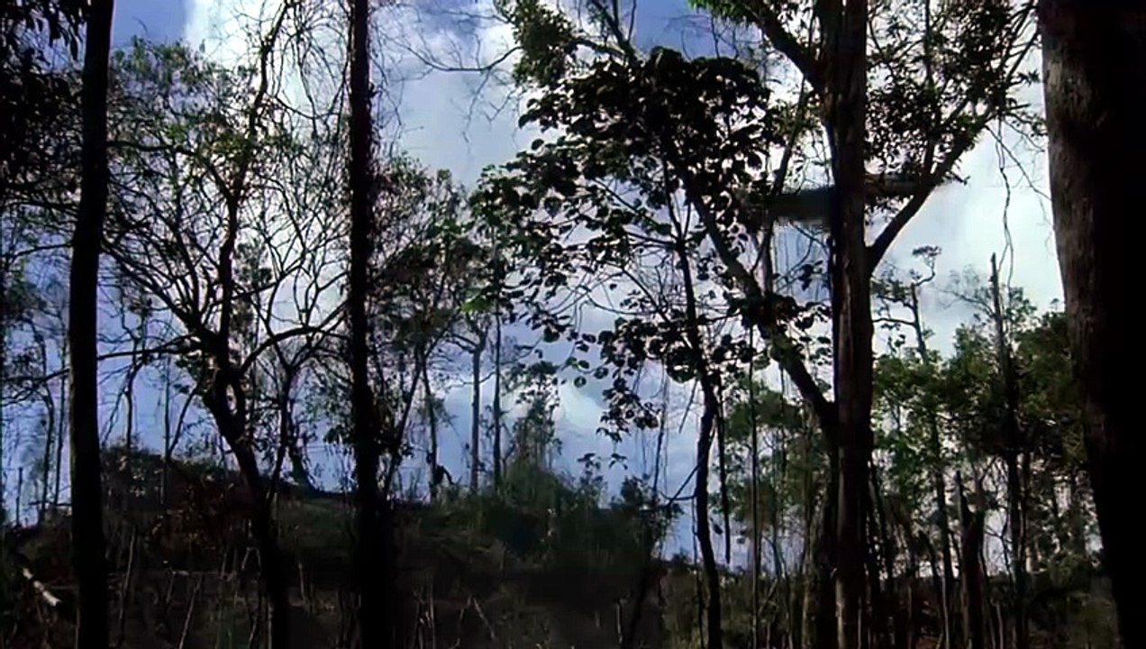 HAMBURGER HILL (1987) Trailer VO - HD [Full Movie]