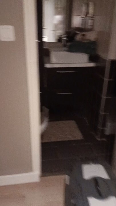 L'appartement
