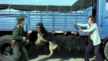 Banker Bilo Filminde Alman Polisi Gerçek Olsaydı