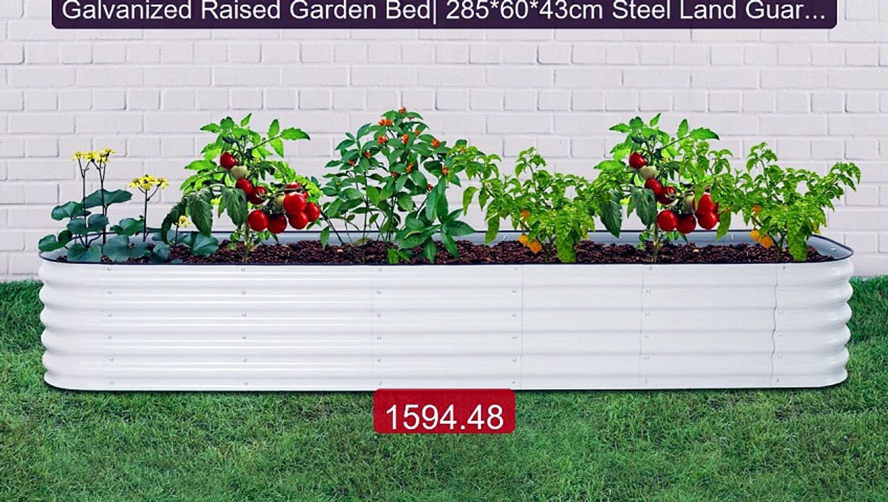Galvanized Raised Garden Bed| 285*60*43cm Steel Land Guard|... -- Top Pick 2026 | Unbeatable Price!