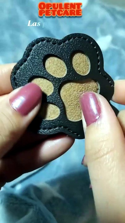 Pet Paw Print Leather Keychain – Fur Keepsake Holder