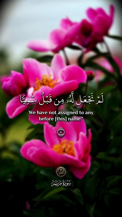 ﴿ يا زَكَرِيَّا إِنَّا نُبَشِّرُكَ بِغُلامٍ اسْمُهُ يَحيَىٰ لَمْ نَجعَلْ لَهُ مِنْ قَبْلُ سَمِيًّا ﴾