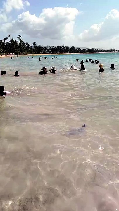 PLAYA PUNTA POPI LAS TERRENAS SAMANA REGION NORDESTE REPUBLICA DOMINICANA.