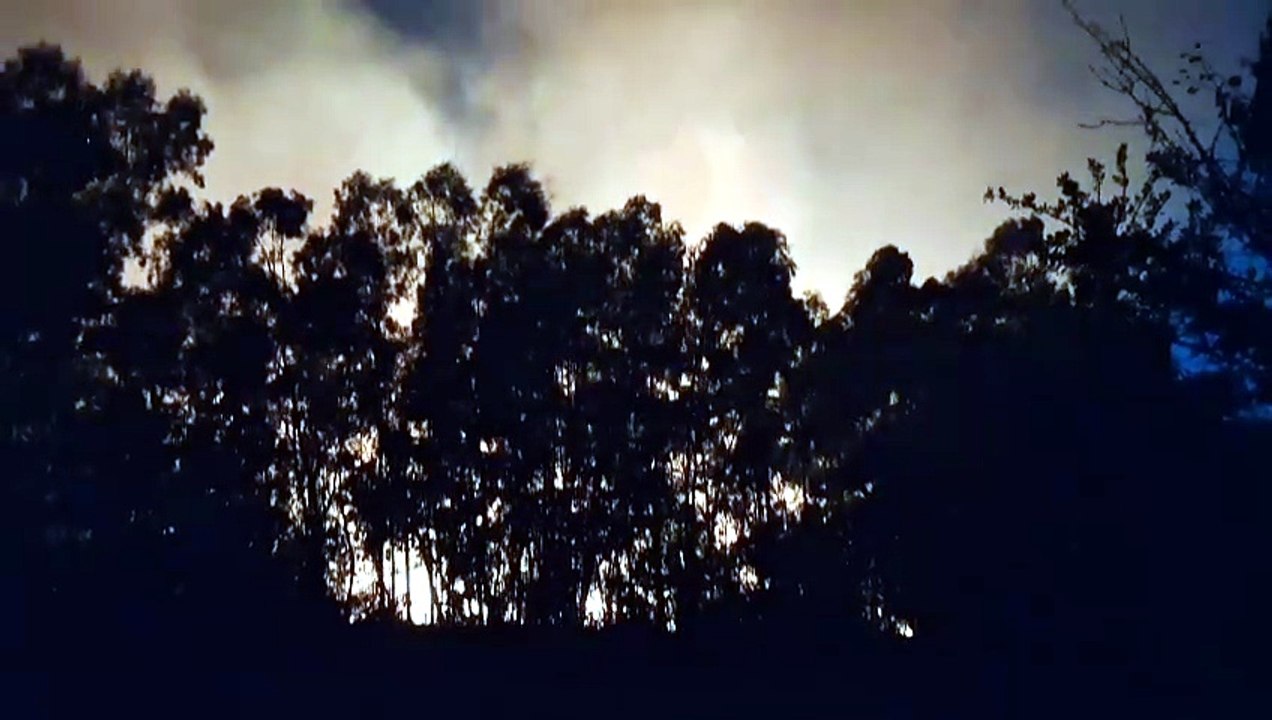 Sardegna in fiamme, un incendio minaccia le abitazioni alla periferia: paura fra gli abitanti - VIDEO