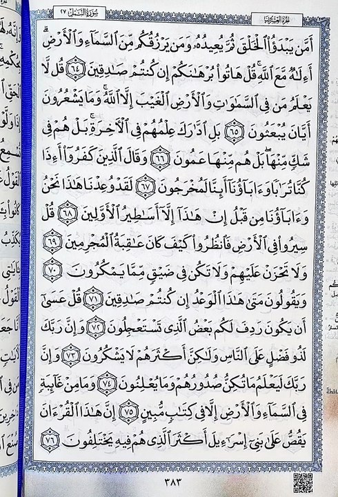 صفحة (383)