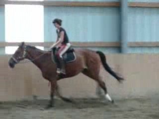 'Lex0u & Natiive & MawWwiiie_ aprem ft eux